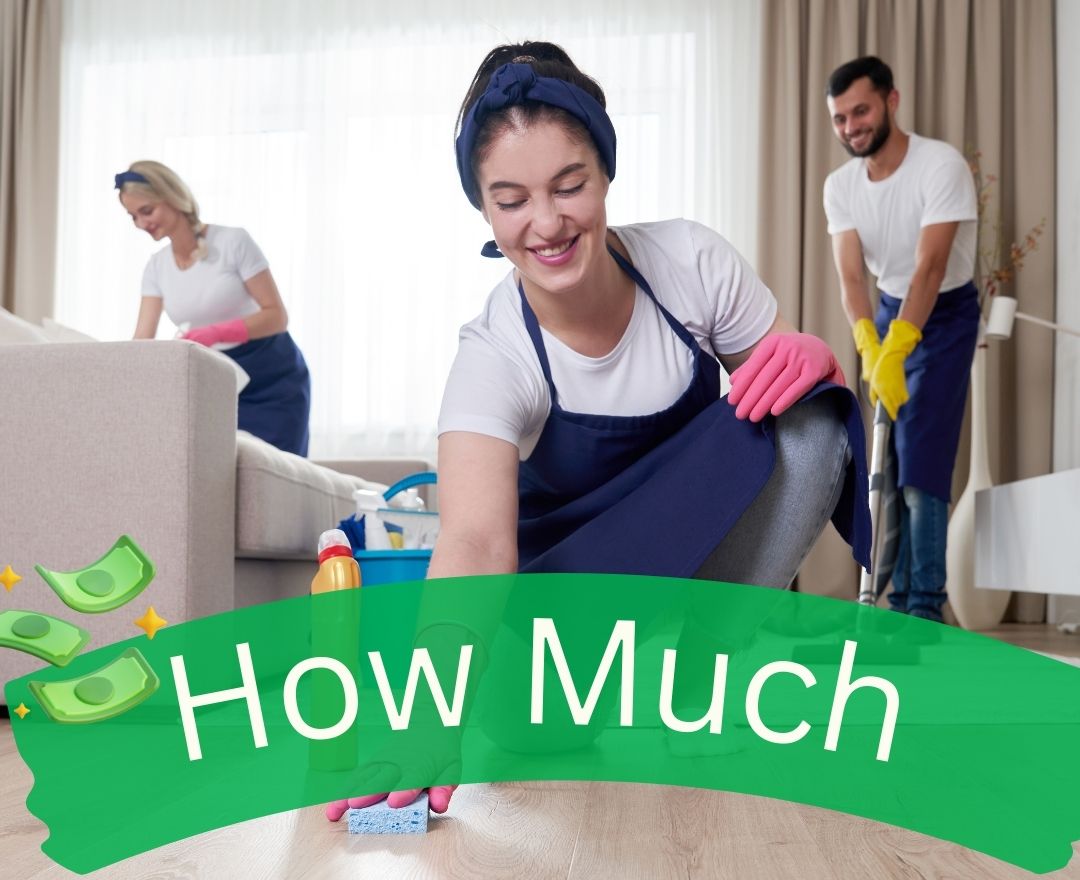 How Much Does a Full House Clean Cost NZ